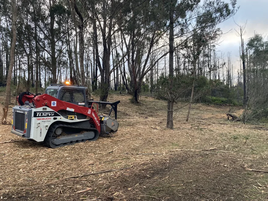 Forestry mulcher clearing vegetation